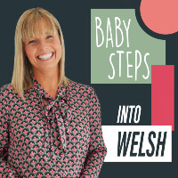 Baby Steps Into Welsh